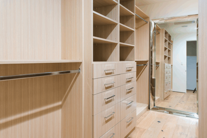 Santa Monica walk in closet build