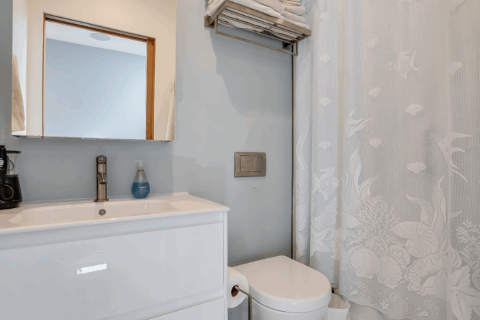 bathroom renovation in Marina del rey